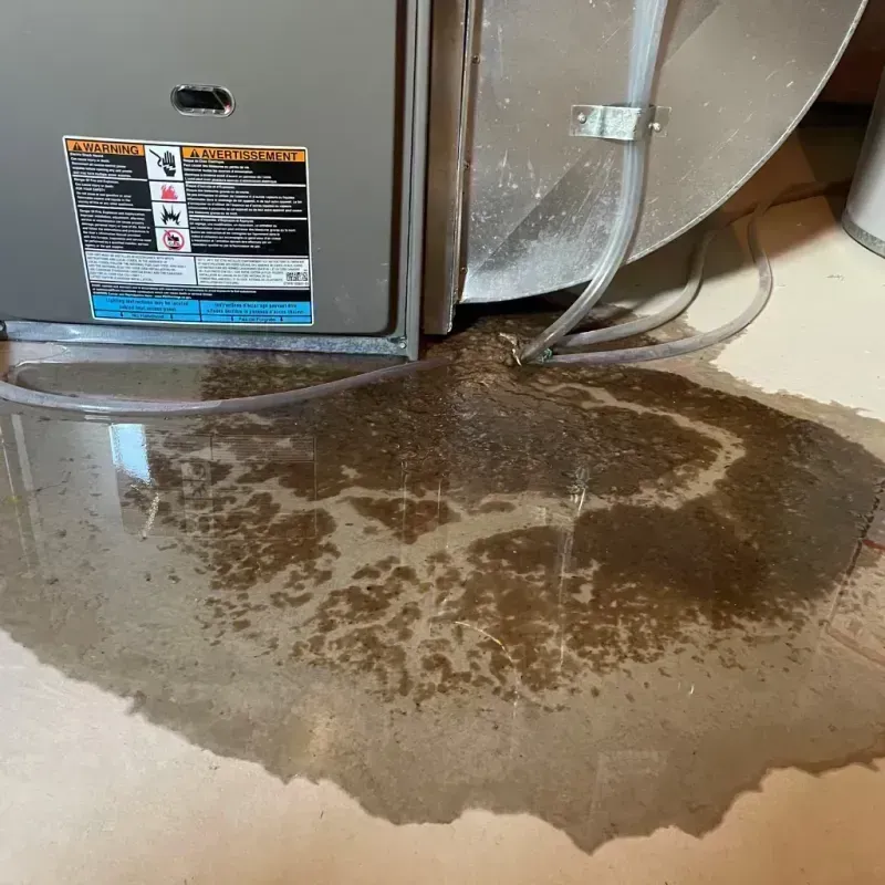 Appliance Leak Cleanup in Ipswich, SD